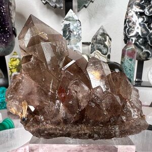 Golden Rutile with Smokey Quartz ⚜️🤍⚜️ RSQ1